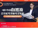 0粉0作品自然流正价起号及稳号全教程，专业自然流起号机构流程化教学（价值2980元）-水滴知识网