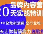 《内容营销实操特训营》20天让你营销能力脱胎换骨(价值3999)-水滴知识网
