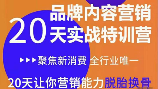 《内容营销实操特训营》20天让你营销能力脱胎换骨（价值3999）-水滴知识网