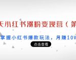 21天小红书涨粉变现营（第3期）：带你掌握小红书爆款玩法，月赚10W+秘密-水滴知识网