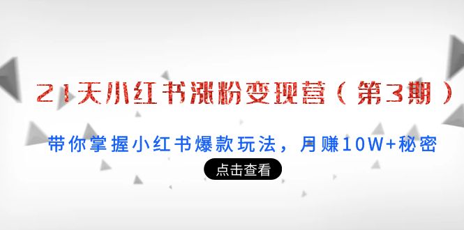 21天小红书涨粉变现营(第3期):带你掌握小红书爆款玩法,月赚10W+秘密-水滴知识网