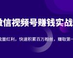 微信视频号赚钱实战：抓住流量红利，快速积累百万粉丝，赚取你的第一桶金-水滴知识网