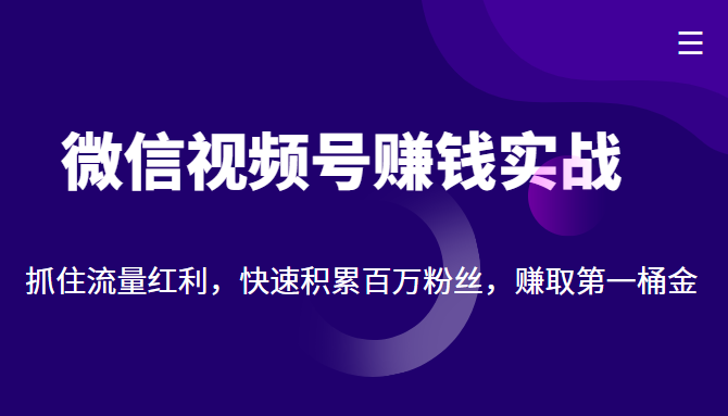 微信视频号赚钱实战:抓住流量红利,快速积累百万粉丝,赚取你的第一桶金-水滴知识网