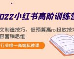 2022小红书高阶训练营：爆文制造技巧，低预算高roi投放技巧，内容营销思维-水滴知识网