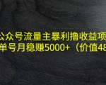 公众号流量主暴利撸收益项目，单人单号月稳赚5000+（价值480元）-水滴知识网