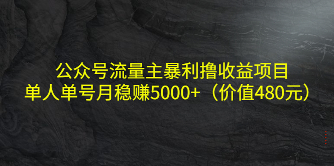 公众号流量主暴利撸收益项目,单人单号月稳赚5000+(价值480元)-水滴知识网
