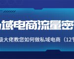 私域电商流量密码:千万级大佬教您如何做私域电商(12节课)-水滴知识网