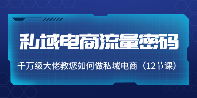 私域电商流量密码:千万级大佬教您如何做私域电商(12节课)-水滴知识网