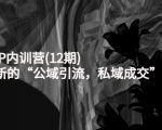 新媒体IP内训营(12期),一套全新的“公域引流,私域成交”IP打法,直接带走-水滴知识网