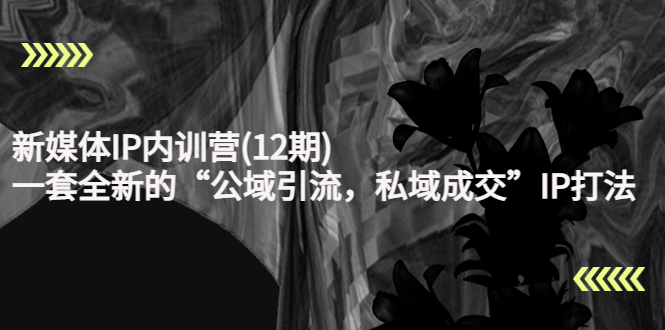 新媒体IP内训营(12期),一套全新的“公域引流,私域成交”IP打法,直接带走-水滴知识网