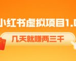 《小红书虚拟项目1.0》账号注册+养号+视频制作+引流+变现，几天就赚两三千-水滴知识网