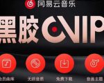 网易云音乐撸黑胶年卡及变现方法，收益可无限放大-水滴知识网