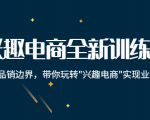 兴趣电商全新训练营：打破品销边界，带你玩转“兴趣电商“实现业务增长-水滴知识网