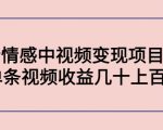 副业孵化营第5期：抖音情感中视频变现项目孵化 单条视频收益几十上百-水滴知识网