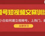 视频号短视频文案训练营:0基础小白如何建立视频号,上热门,能卖货!-水滴知识网