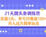 21天微头条训练营,实操3天,单号日收益100+月入过万简单玩法-水滴知识网