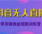 抖音无人直播带货赚佣金陪跑训练营（价值6980元）-水滴知识网