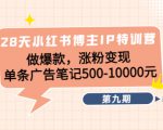 28天小红书博主IP特训营《第9期》做爆款,涨粉变现 单条广告笔记500-10000-水滴知识网