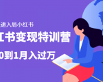 小红书变现特训营:带你快速入局小红书,从0到1月入过万-水滴知识网