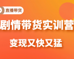 《剧情带货实训营》目前最好的直播带货方式,变起现来是又快又猛(价值980元)-水滴知识网
