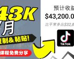 2022抖音国际版Tiktok赚钱项目：每天上传一个视频就轻松月入$43200-水滴知识网