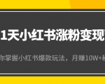 21天小红书涨粉变现营（第4期）：带你掌握小红书爆款玩法，月赚10W+秘密-水滴知识网