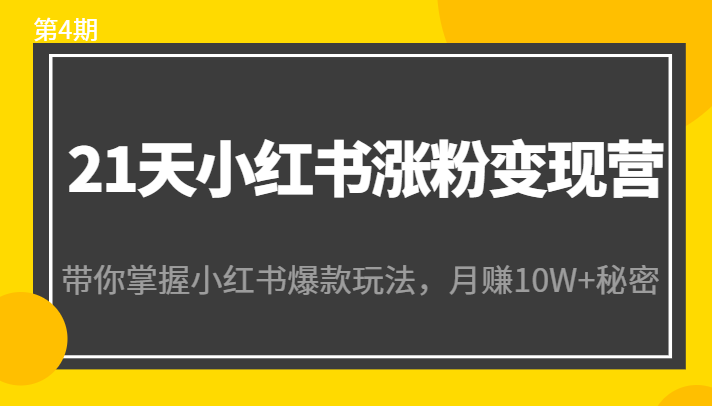 21天小红书涨粉变现营(第4期):带你掌握小红书爆款玩法,月赚10W+秘密-水滴知识网