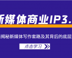 新媒体商业IP3.0,全面揭秘新媒体写作套路及其背后的底层逻辑(价值1299元)-水滴知识网