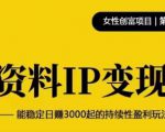 资料IP变现，能稳定日赚3000起的持续性盈利玩法-水滴知识网