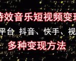 黄岛主《粒子特效音乐短视频变现项目》主攻平台抖音、快手、视频号多种变现方法-水滴知识网