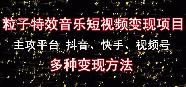 黄岛主《粒子特效音乐短视频变现项目》主攻平台抖音、快手、视频号多种变现方法-水滴知识网
