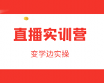 直播实训营，变学边实操，成为运营型主播，拉动直播间人气-水滴知识网