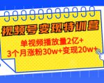 21天视频号变现特训营:单视频播放量2亿+3个月涨粉30w+变现20w+(第14期)-水滴知识网