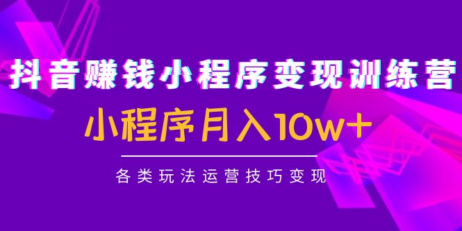 抖音赚钱小程序变现训练营:小程序月入10w+各类玩法运营技巧变现-水滴知识网