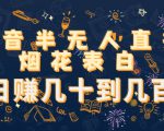 抖音半无人直播烟花表白,日赚几十到几百(教程+视频模板素材)-水滴知识网