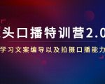 镜头口播特训营2.0版,学习文案编导以及拍摄口播能力(50节课时)-水滴知识网