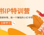 小红书IP特训营:从搭建-制作-爆款脚本等等,做一个赚钱的小红书号-水滴知识网