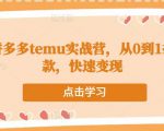 跨境拼多多temu实战营，从0到1打造爆款，快速变现-水滴知识网