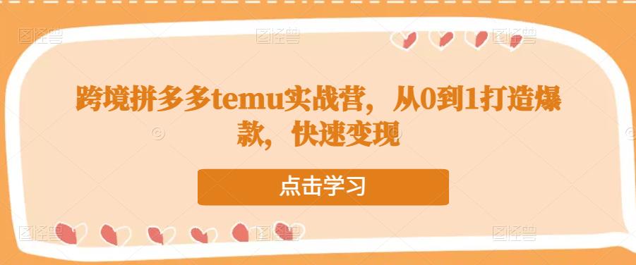 跨境拼多多temu实战营,从0到1打造爆款,快速变现-水滴知识网