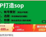 瑶瑶·自然流IP孵化,系统掌握IP孵化全流程,也能学到选题,剪辑,账号运营经验-水滴知识网