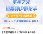 瑶瑶·自然流短视频IP孵化第二期,14天线上实战训练营,赋能100个人成为有数据能赚钱的独立IP孵化手-水滴知识网