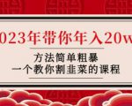 韭菜-联盟·2023年带你年入20w+方法简单粗暴，一个教你割韭菜的课程-水滴知识网