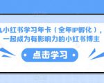 厦九九小红书学习年卡(全年IP孵化),沉浸式学习,一起成为有影响力的小红书博主-水滴知识网