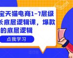 大圣淘宝天猫电商1-7层级盈利增长底层逻辑课,爆款的底层逻辑-水滴知识网