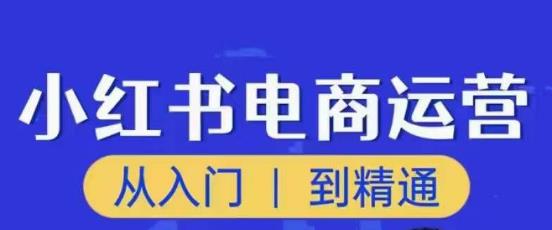 顽石小红书电商高阶运营课程,从入门到精通,玩法流程持续更新-水滴知识网