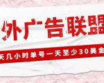 外面收费1980的最新国外LEAD广告联盟搬砖项目,单号一天至少30美金【详细玩法教程】-水滴知识网