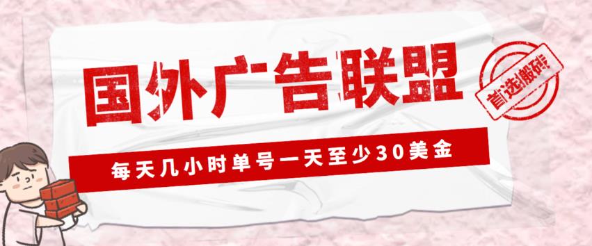 外面收费1980的最新国外LEAD广告联盟搬砖项目,单号一天至少30美金【详细玩法教程】-水滴知识网