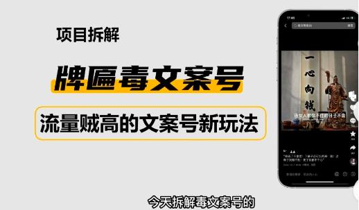 2023抖音快手毒文案新玩法,牌匾文案号,起号快易变现-水滴知识网