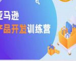 亚马逊产品开发训练营，能爆单的产品开发方法，助你突出重围-水滴知识网
