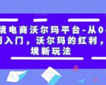 跨境电商沃尔玛平台-从0基础到入门,沃尔玛的红利,跨境新玩法-水滴知识网
